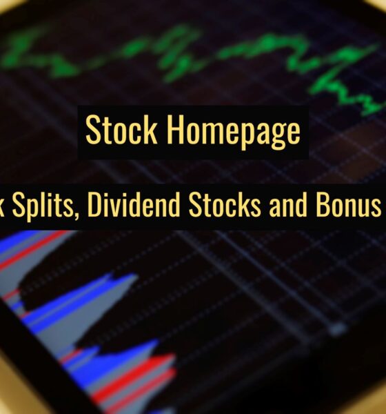 Stock Splits, Dividend Stocks and Bonus Issue